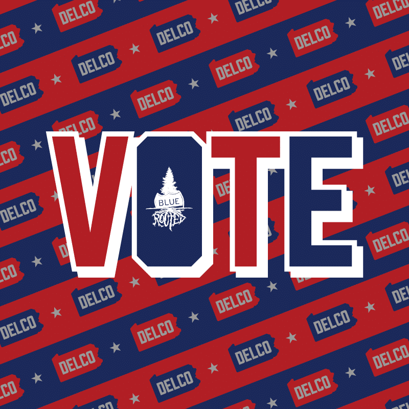vote