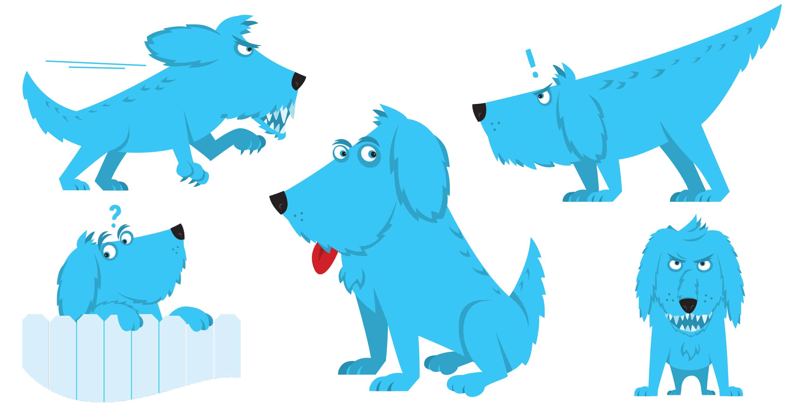 dog_color