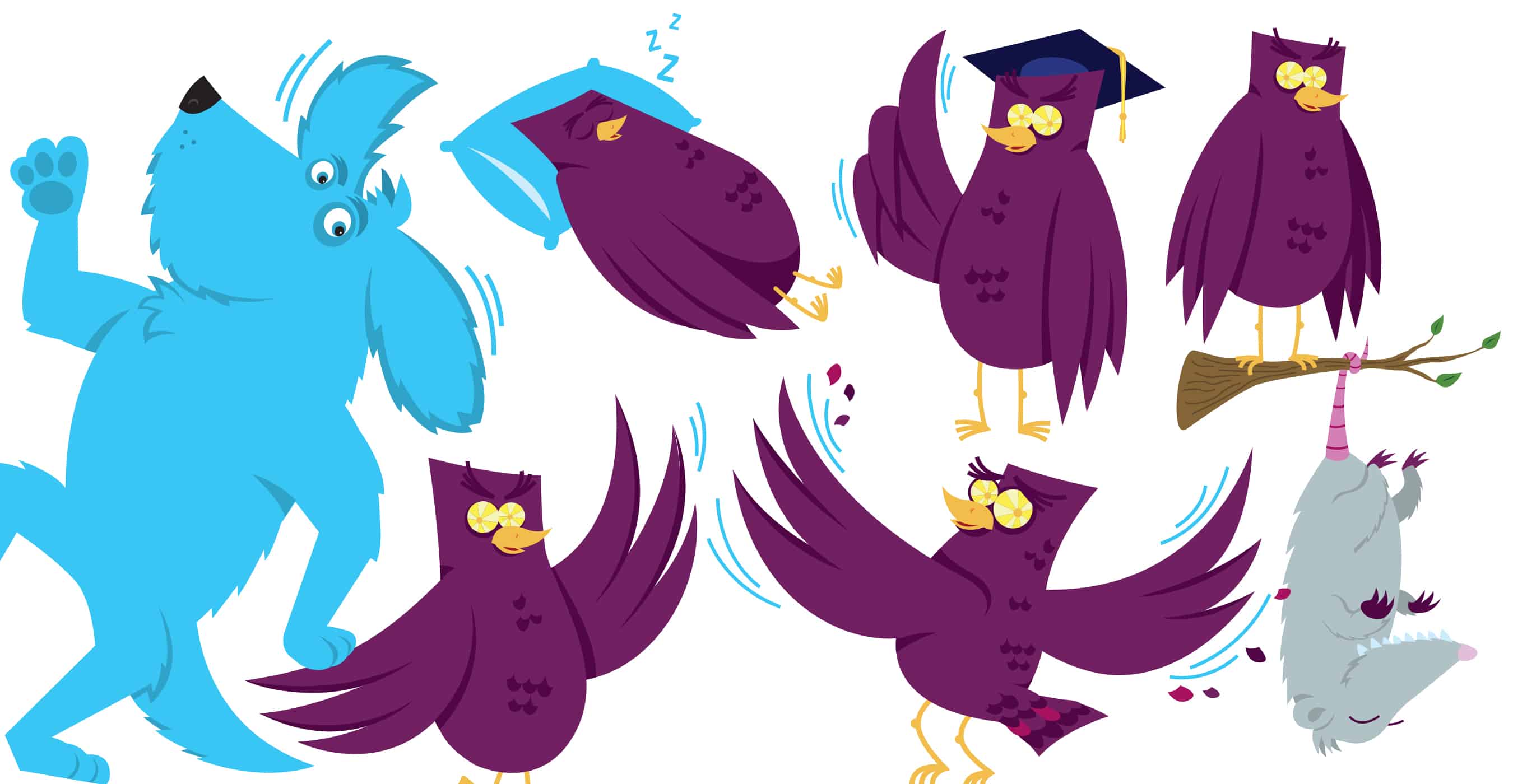 owl_color_group