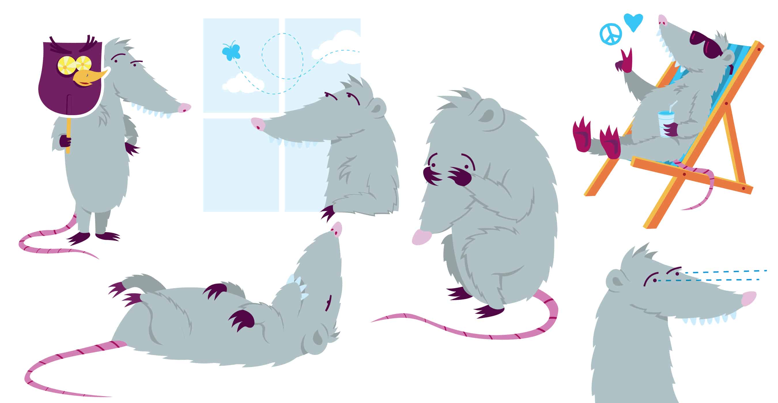 possum_color